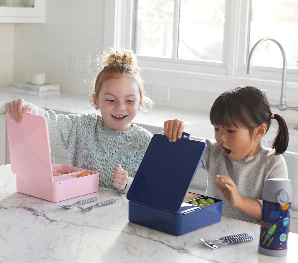 All-in-One Bento Box