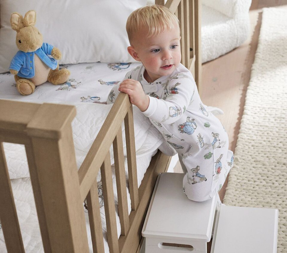 Peter Rabbit™ Plush