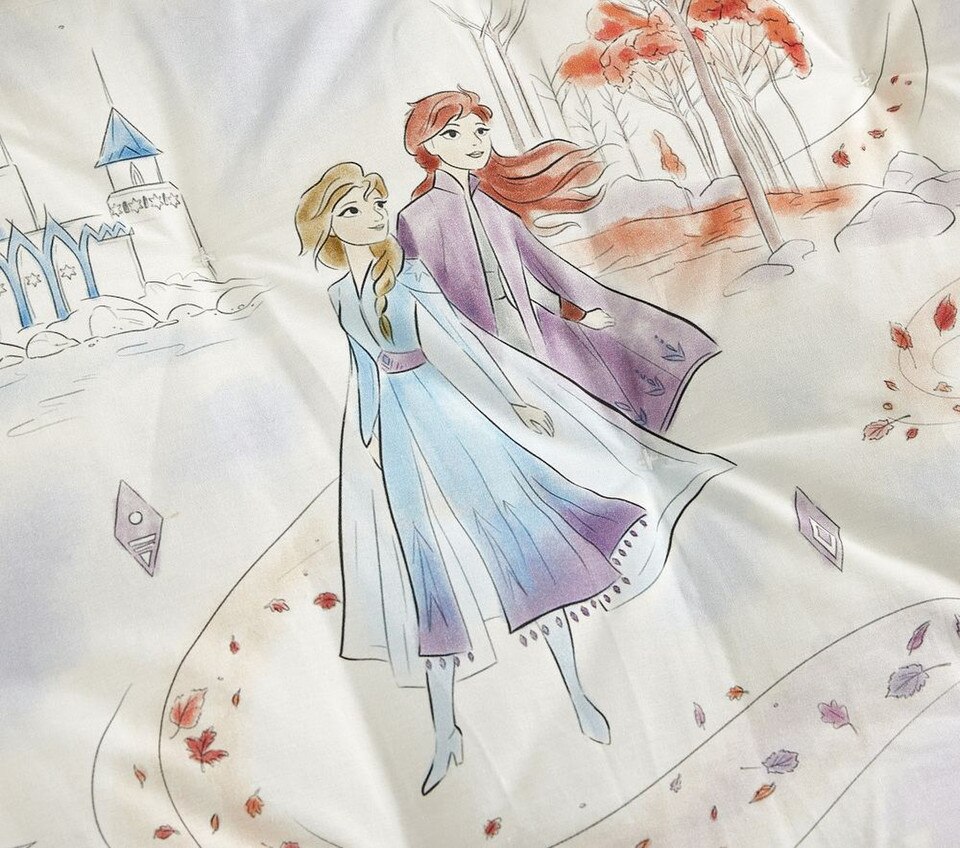 Disney Frozen Enchanted Forest Comforter & Pillowcases