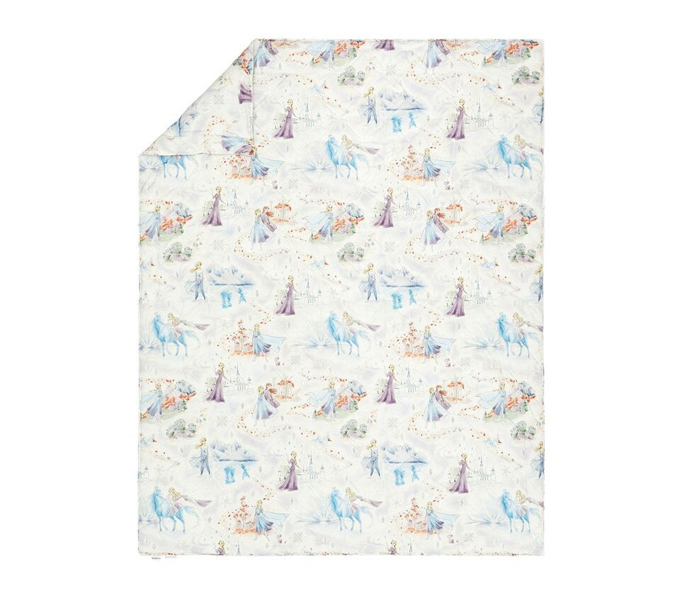Disney Frozen Enchanted Forest Comforter & Pillowcases