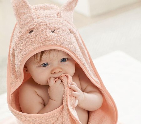 Super Soft Animal Baby Hooded Towel Washcloth Set Pottery Barn