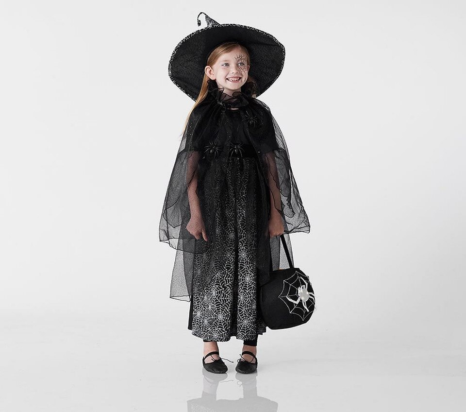 Pottery Barn Witch Costume