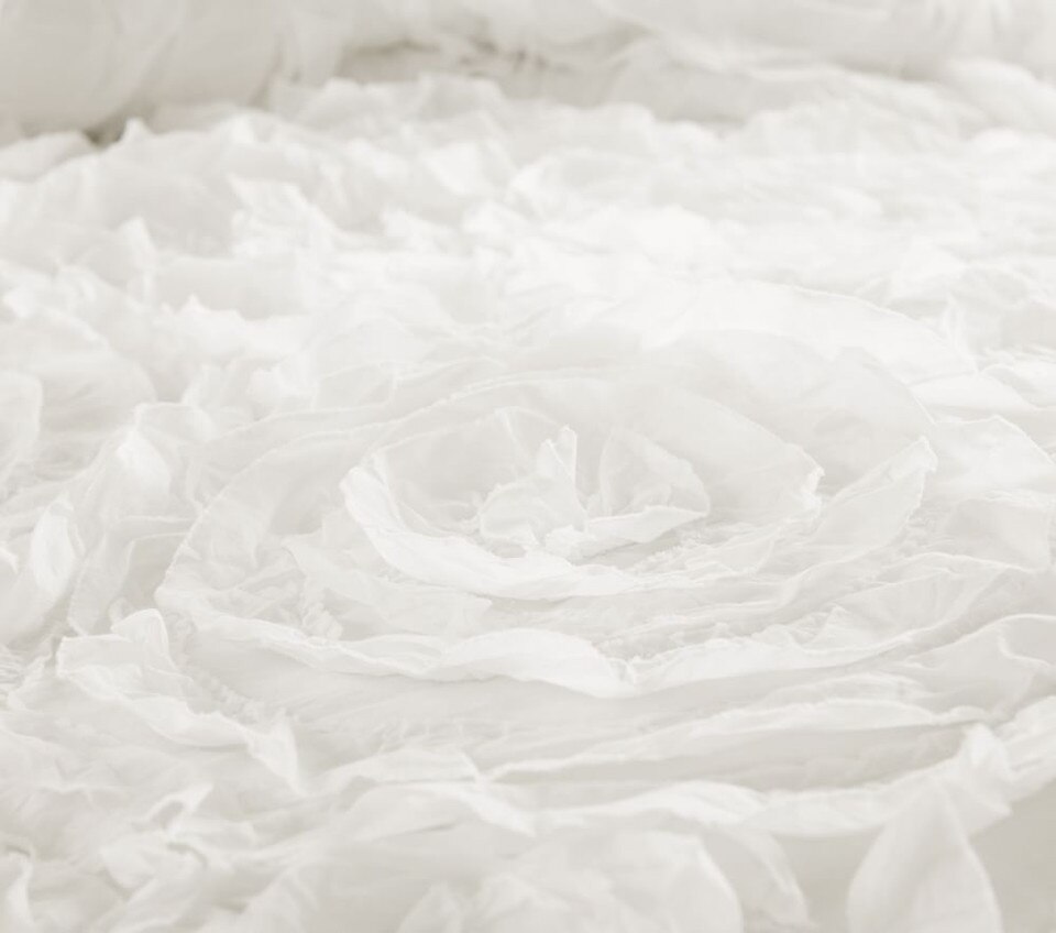 Monique Lhuillier Rosette Bedspread & Pillowcases