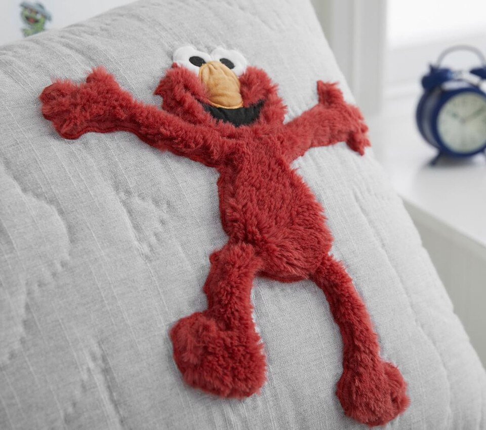 Sesame Street Bedspread & Pillowcases