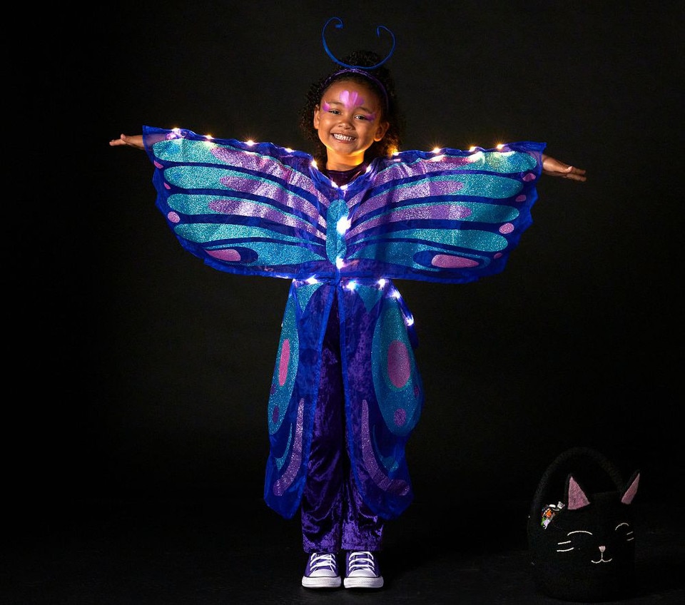 Sparkle Butterfly Light-Up Costume